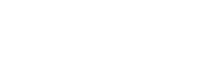Logo Haneborg Gruppen AS